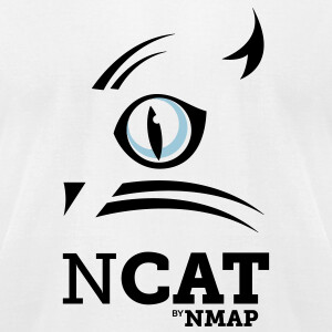 nmap ncat